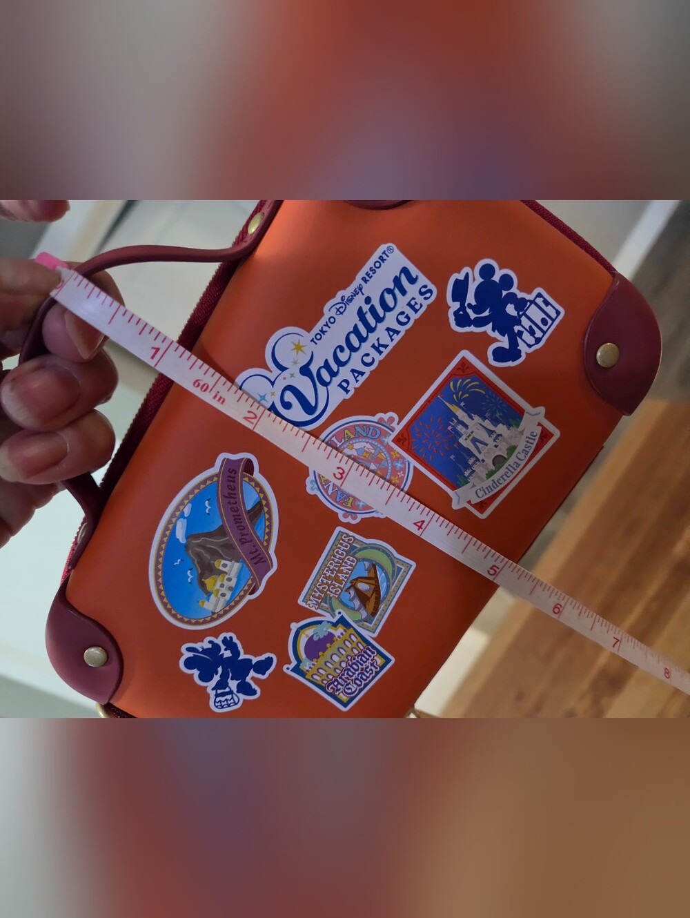 New Toyko Disneyland Vacation Package Bag. - Picture 6 of 16